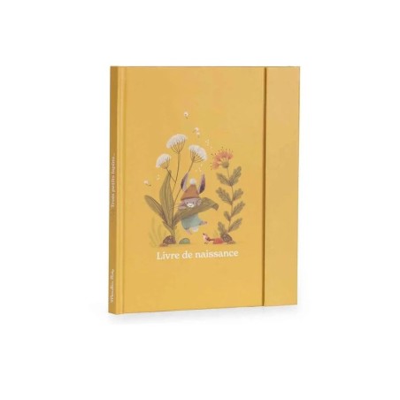 Livre de naissance - Trois petits lapins...