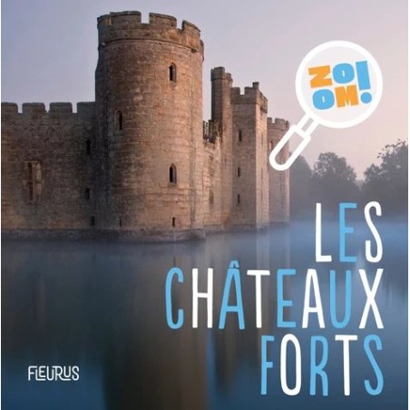 Zoom ! Les châteaux forts