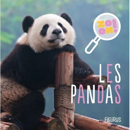 Zoom ! Les pandas