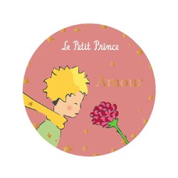 Magnet Petit Prince