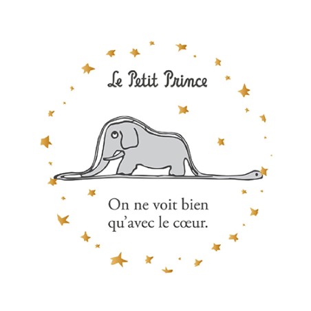 Magnet Petit Prince