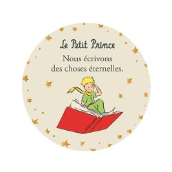 Magnet Petit Prince