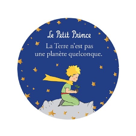 Magnet Petit Prince